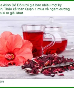 Hoa Atiso Đỏ tươi giá sỉ lẻ - Địa chỉ bán có sẵn giao nhanh TPHCM