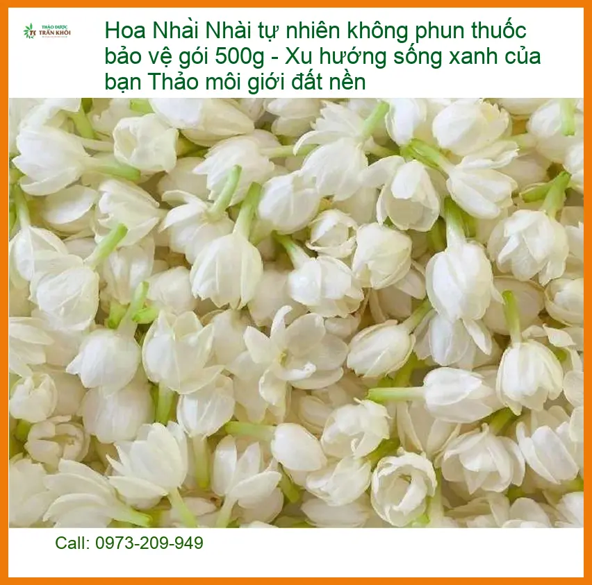 Hoa Nhài tự nhiên không phun thuốc bảo vệ gói 500g - Đơn vị Bán Giao nhanh