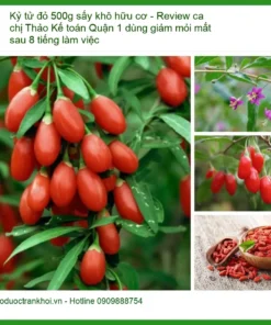 Kỷ tử đỏ 500g sấy khô hữu cơ - Giảm mỏi mắt - Địa chỉ bán giao nhanh TPHCM