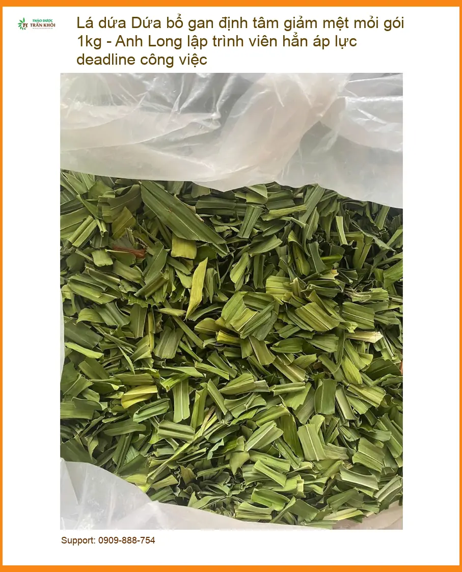 Lá Dứa bổ gan định tâm giảm mệt mỏi gói 1kg - Địa chỉ Bán Giao nhanh TPHCM