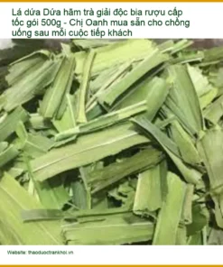 Lá Dứa hãm trà giải độc bia rượu cấp tốc gói 500g - Bán giao nhanh TPHCM