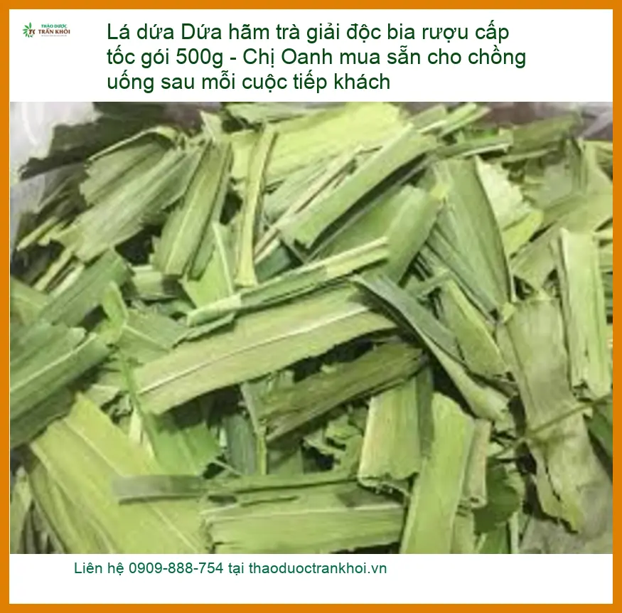 Lá Dứa hãm trà giải độc bia rượu cấp tốc 500g - Bán Giao nhanh TPHCM
