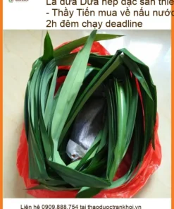 Lá Dứa nếp đặc sản thiên nhiên gói 500g - Địa chỉ Bán Giao nhanh TPHCM
