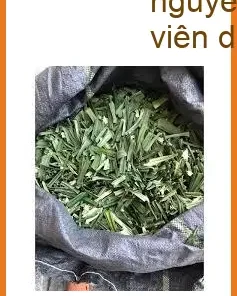 Lá Dứa sấy điện khép kín hương thơm nguyên bản gói 500g - Bán sỉ lẻ TPHCM