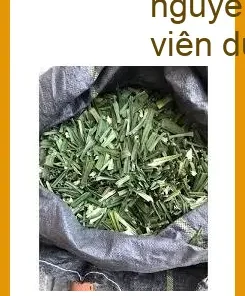 Lá Dứa sấy điện khép kín hương thơm nguyên bản gói 500g - Bán tại TPHCM