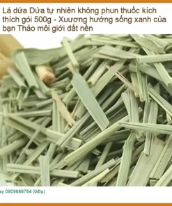 Lá Dứa tự nhiên không phun thuốc kích thích gói 500g - Bán Giao nhanh