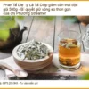 Lá Phan Tả Diệp giảm cân thải độc gói 500g - Địa chỉ bán giao nhanh TPHCM