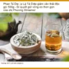 Lá Phan Tả Diệp giảm cân thải độc gói 500g - Địa chỉ bán giao nhanh TPHCM