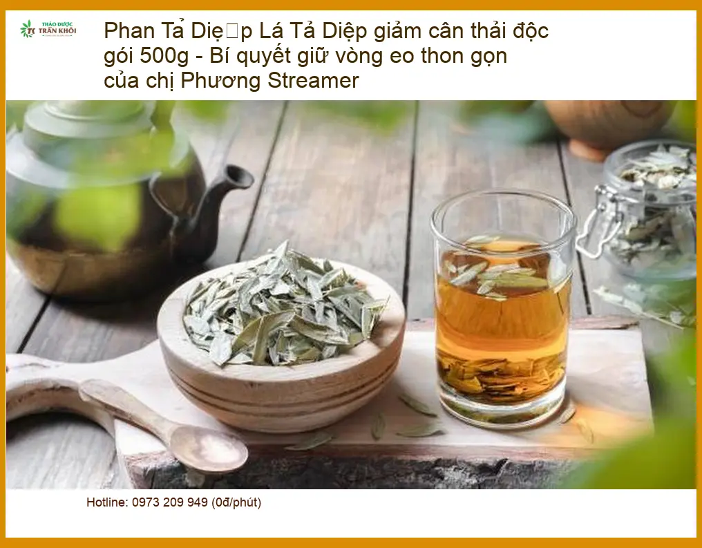 Lá Phan Tả Diệp giảm cân thải độc gói 500g - Địa chỉ bán giao nhanh TPHCM