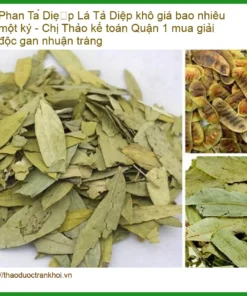Lá Phan Tả Diệp khô giải độc gan nhuận tràng - Địa chỉ Bán Giao nhanh TPHCM