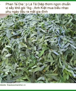 Lá Phan Tả Diệp thơm ngon chuẩn vị sấy khô gói 1kg - Địa chỉ Bán TPHCM