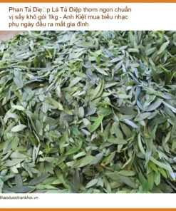 Lá Phan Tả Diệp thơm ngon chuẩn vị sấy khô gói 1kg - Địa chỉ bán giao nhanh TPHCM