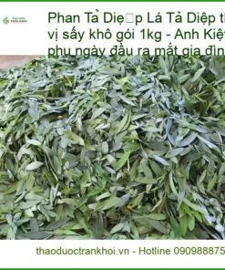 Lá Phan Tả Diệp thơm ngon chuẩn vị sấy khô gói 1kg - Địa chỉ Bán Giao nhanh TPHCM