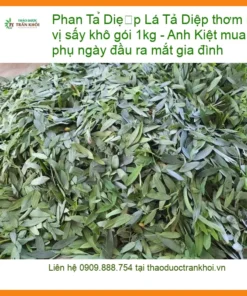 Lá Phan Tả Diệp thơm ngon chuẩn vị sấy khô gói 1kg - Địa chỉ bán TPHCM