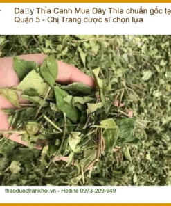 Mua Dây Thìa Canh chuẩn gốc tại Quận 5 - Chị Trang dược sĩ chọn lựa