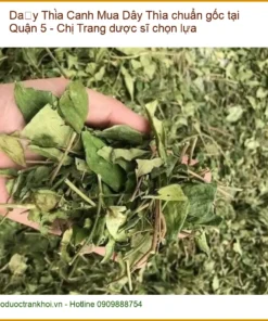 Mua Dây Thìa Canh chuẩn gốc tại Quận 5 - Chị Trang dược sĩ chọn lựa