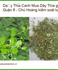 Mua Dây Thìa Canh giảm cân ở Quận 8 - Chú Hoàng kiểm soát lượng đường - Đơn vị cung cấp có sẵn