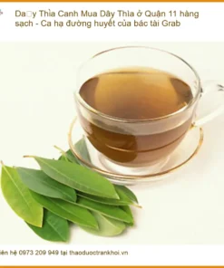 Dây Thìa Canh Quận 11 - Hàng sạch, ca hạ đường huyết, giao nhanh TPHCM