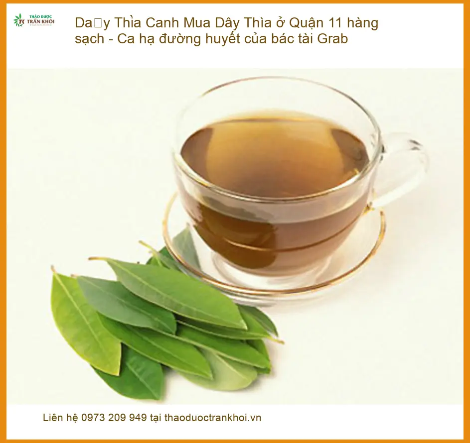 Dây Thìa Canh Quận 11 - Hàng sạch, ca hạ đường huyết, giao nhanh TPHCM