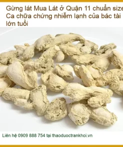 Gừng Lát Quận 11 chuẩn size lát dày - Ca chữa chứng nhiễm lạnh - Sỉ lẻ