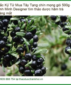 Hắc Kỷ Tử Tây Tạng 500g - Anh Minh Designer - Địa chỉ Bán Giao nhanh TPHCM