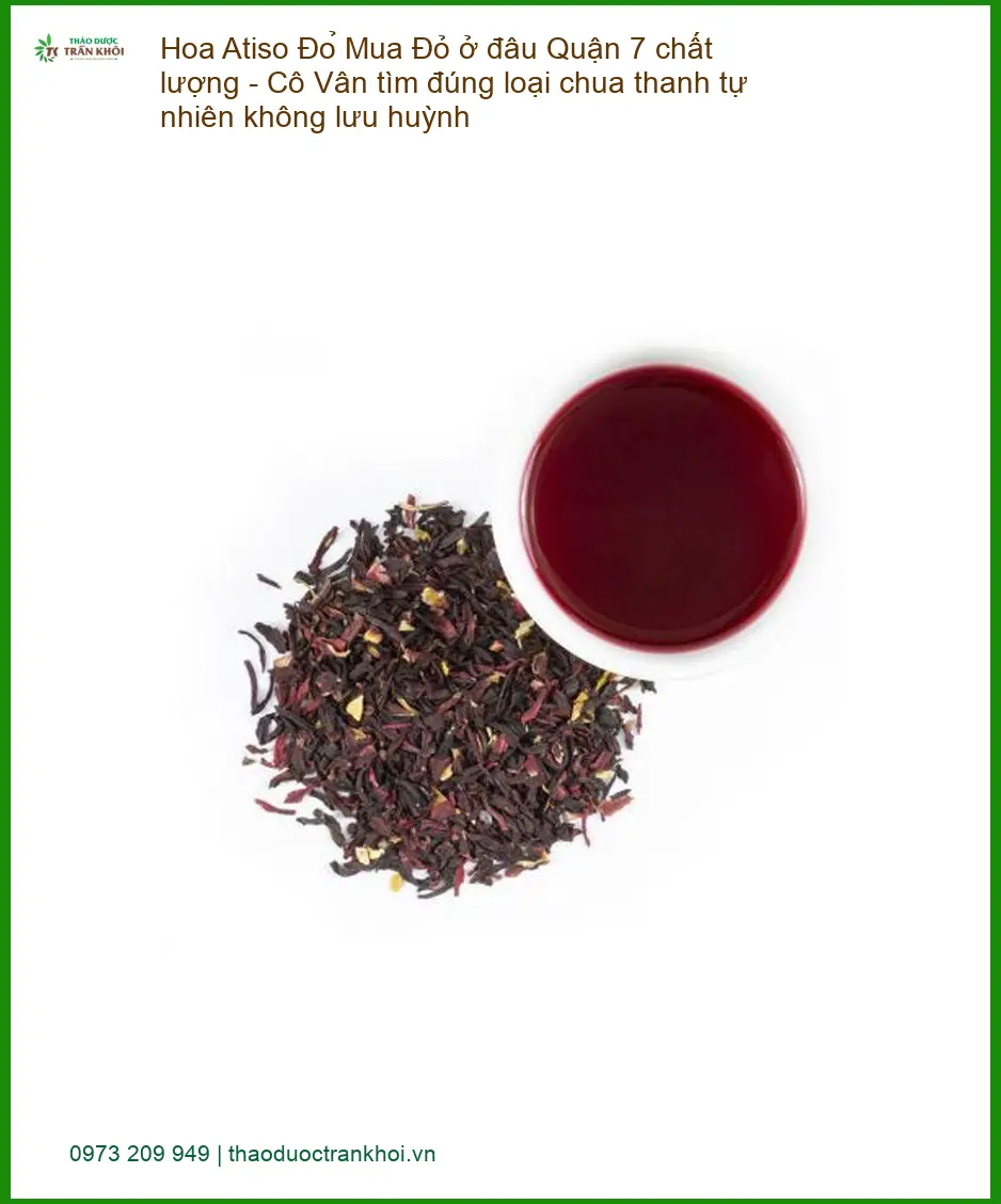 Mua Hoa Atiso Đỏ ở đâu Quận 7 chất lượng - Địa chỉ Bán Sỉ lẻ Giao nhanh