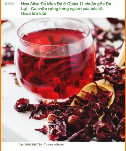 Hoa Atiso Đỏ Quận 11 chuẩn gốc Đà Lạt - Đơn vị Cung cấp Có sẵn TPHCM