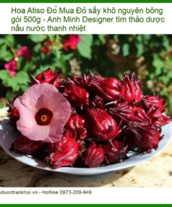 Mua Hoa Atiso Đỏ sấy khô nguyên bông gói 500g - Anh Minh Designer tìm thảo dược nấu nước thanh nhiệt - Địa chỉ bán giao nhanh TPHCM