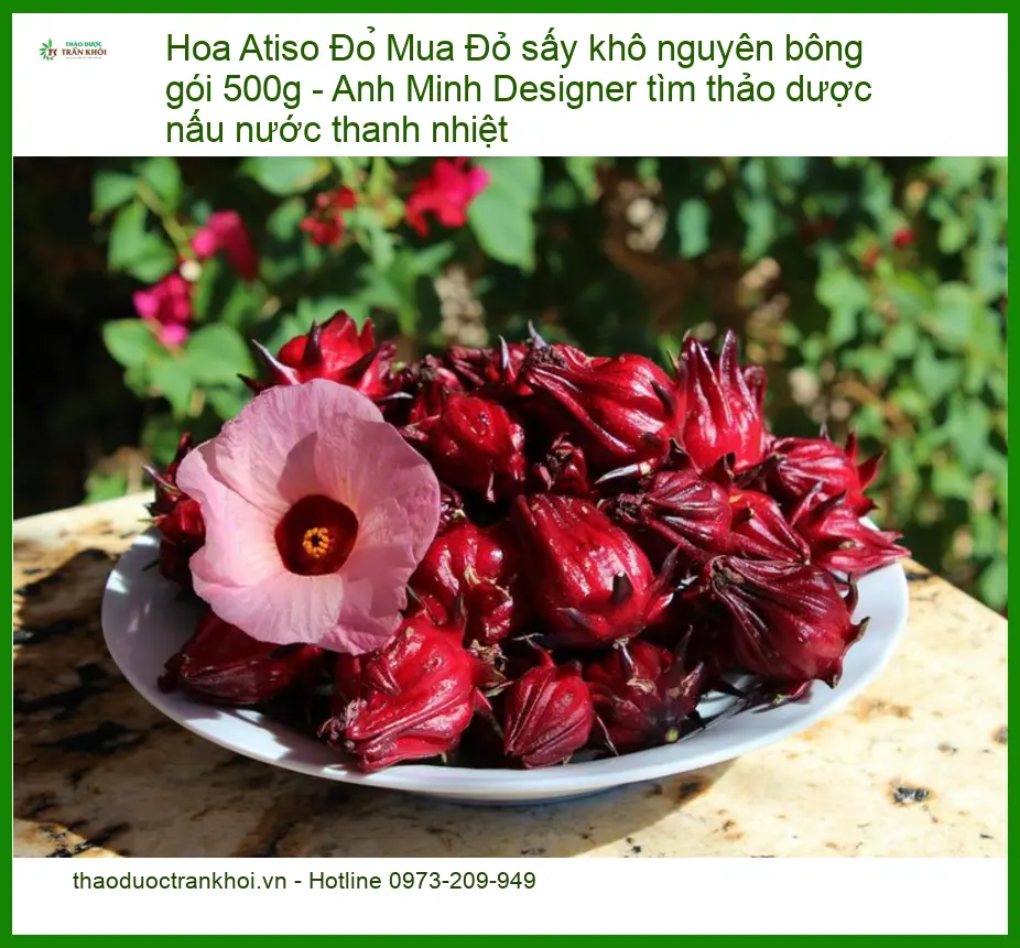 Mua Hoa Atiso Đỏ sấy khô nguyên bông gói 500g - Anh Minh Designer tìm thảo dược nấu nước thanh nhiệt - Địa chỉ bán giao nhanh TPHCM
