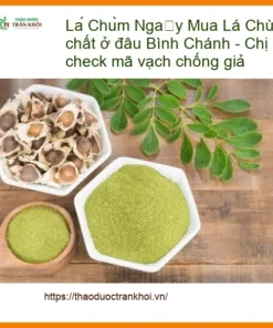 Mua Lá Chùm Ngây nguyên chất ở đâu Bình Chánh - Địa chỉ Bán Giao nhanh