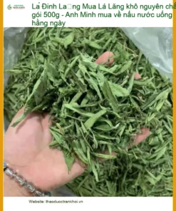 Mua Lá Đinh Lăng khô nguyên chất gói 500g - Bán giao nhanh TPHCM