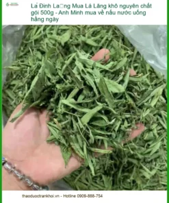 Mua Lá Đinh Lăng khô nguyên chất gói 500g - Đơn vị cung cấp TPHCM