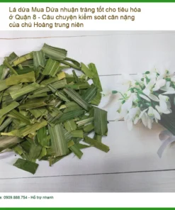Mua Lá Dứa nhuận tràng tốt cho tiêu hóa ở Quận 8 - Đơn vị cung cấp có sẵn