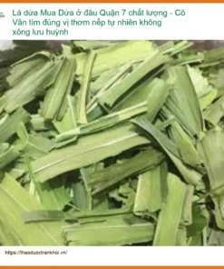 Lá Dứa Quận 7 chất lượng, thơm nếp tự nhiên - Địa chỉ bán giao nhanh