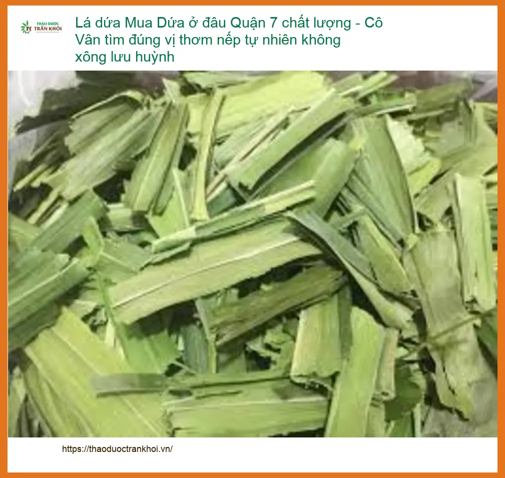 Lá Dứa Quận 7 chất lượng, thơm nếp tự nhiên - Địa chỉ bán giao nhanh
