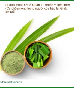 Mua Lá Dứa ở Quận 11 chuẩn vị nếp thơm - Địa chỉ Bán Giao nhanh