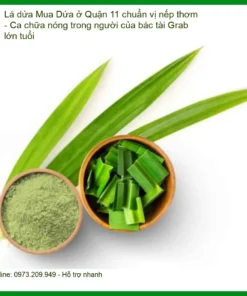 Lá Dứa Quận 11 chuẩn vị nếp thơm - Đơn vị cung cấp có sẵn tại TPHCM