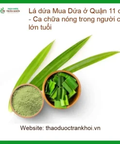 Lá Dứa Quận 11 chuẩn vị nếp thơm - Địa chỉ bán sỉ lẻ giao nhanh TPHCM