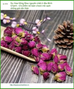 Mua Nụ Hoa Hồng nguyên chất ở đâu Bình Chánh - Địa chỉ Bán Sỉ lẻ Giao nhanh TPHCM