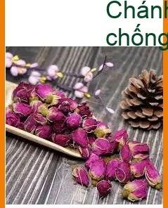 Nụ Hoa Hồng nguyên chất - Địa chỉ Bán Giao nhanh TPHCM