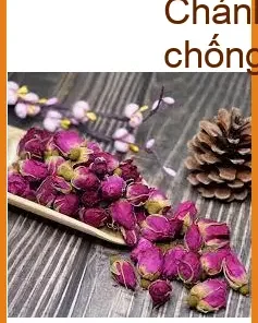 Nụ Hoa Hồng nguyên chất tại Bình Chánh - Địa chỉ Bán Có sẵn, có check mã vạch