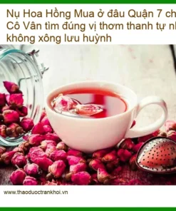 Nụ Hoa Hồng Quận 7 chất lượng, thơm tự nhiên - Địa chỉ Bán Giao nhanh