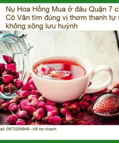 Nụ Hoa Hồng Cô Vân Quận 7 Chất Lượng Thơm Tự Nhiên - Địa chỉ Bán Giao nhanh