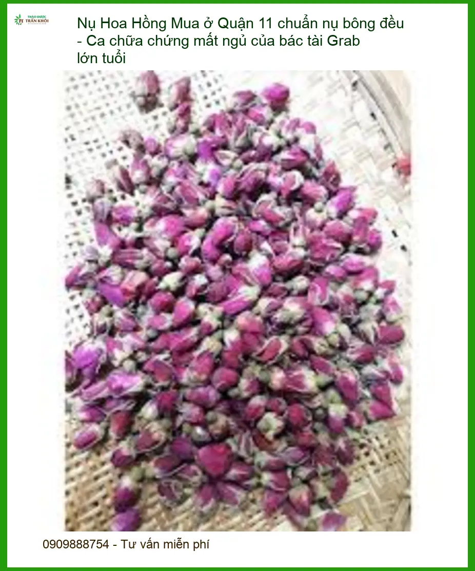 Mua Nụ Hoa Hồng Quận 11 chuẩn nụ bông đều - Địa chỉ Bán Giao nhanh TPHCM