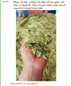 Phan Tả Diệp hỗ trợ giảm mỡ máu ở Quận 8 - Địa chỉ bán giao nhanh TPHCM