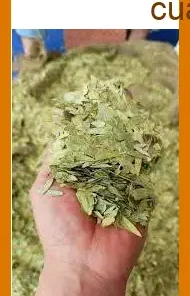 Phan Tả Diệp ở Quận 11 chuẩn gốc thảo dược - Địa chỉ bán giao nhanh TPHCM