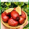 Mua Táo Đỏ Khô nguyên chất ở đâu Bình Chánh - Địa chỉ Bán Giao nhanh