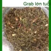 Trà Sơn Mật ở Quận 11 chuẩn gốc Tây Bắc - Địa chỉ cung cấp giao nhanh