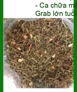Trà Sơn Mật ở Quận 11 chuẩn gốc Tây Bắc - Địa chỉ cung cấp giao nhanh