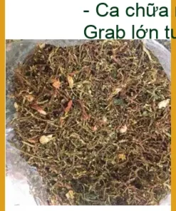 Trà Sơn Mật ở Quận 11 chuẩn gốc Tây Bắc - Địa chỉ bán giao nhanh TPHCM